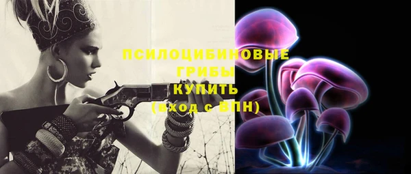 сатива Вяземский