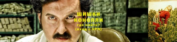 сатива Вяземский