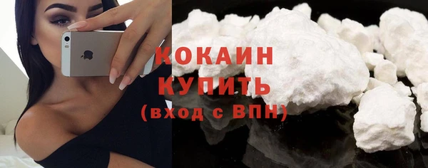 сатива Вяземский