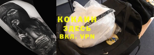 сатива Вяземский