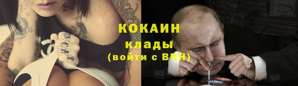 сатива Вяземский