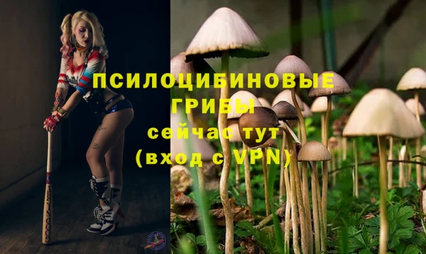 скорость Вязники