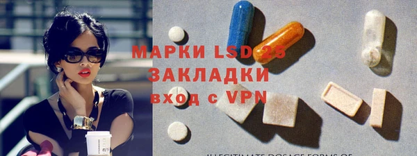 сатива Вяземский
