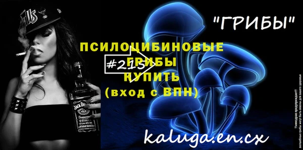 МДПВ Вязьма